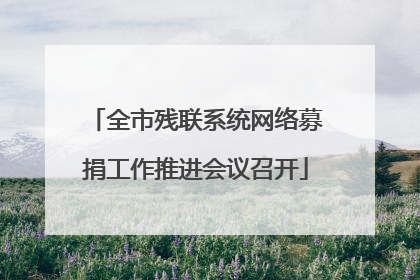 全市残联系统网络募捐工作推进会议召开